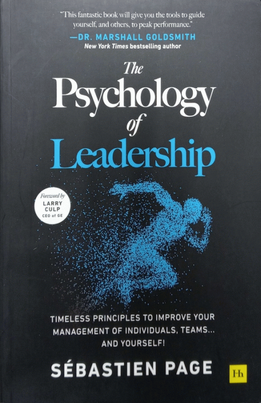 The psychology of leadership : timeless principles to improve your management of individuals, teams… and yourself! / Sebastien Page.