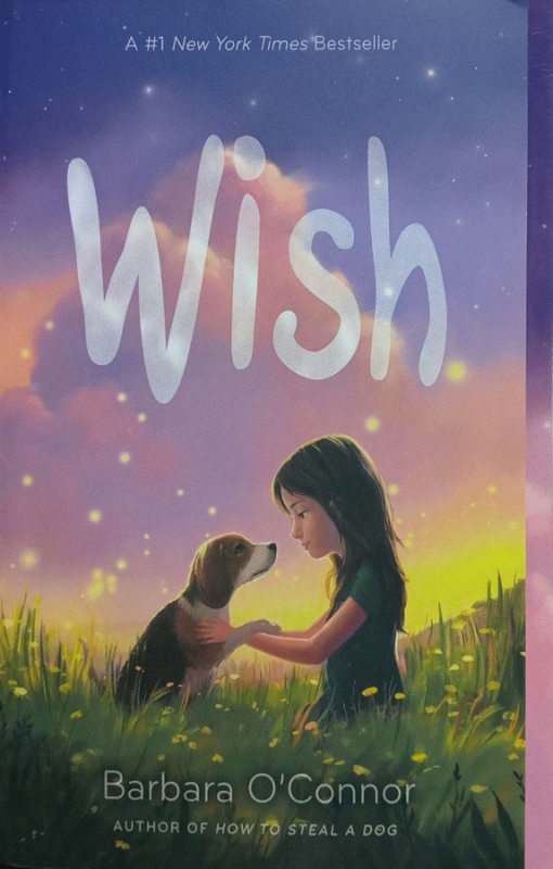 Wish / Barbara O'Connor.